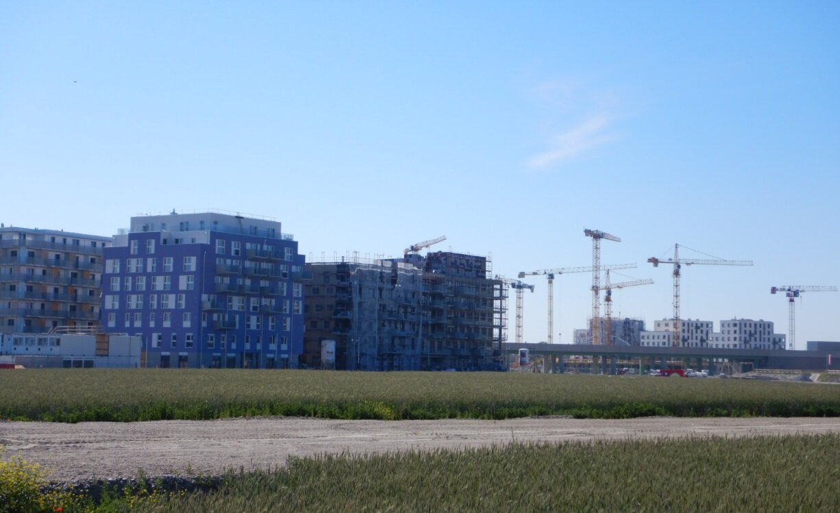 Samstagsarbeiten im Quartier "Am Seebogen"