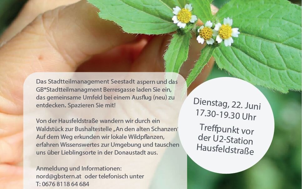 Auf Tour in der Donaustadt!