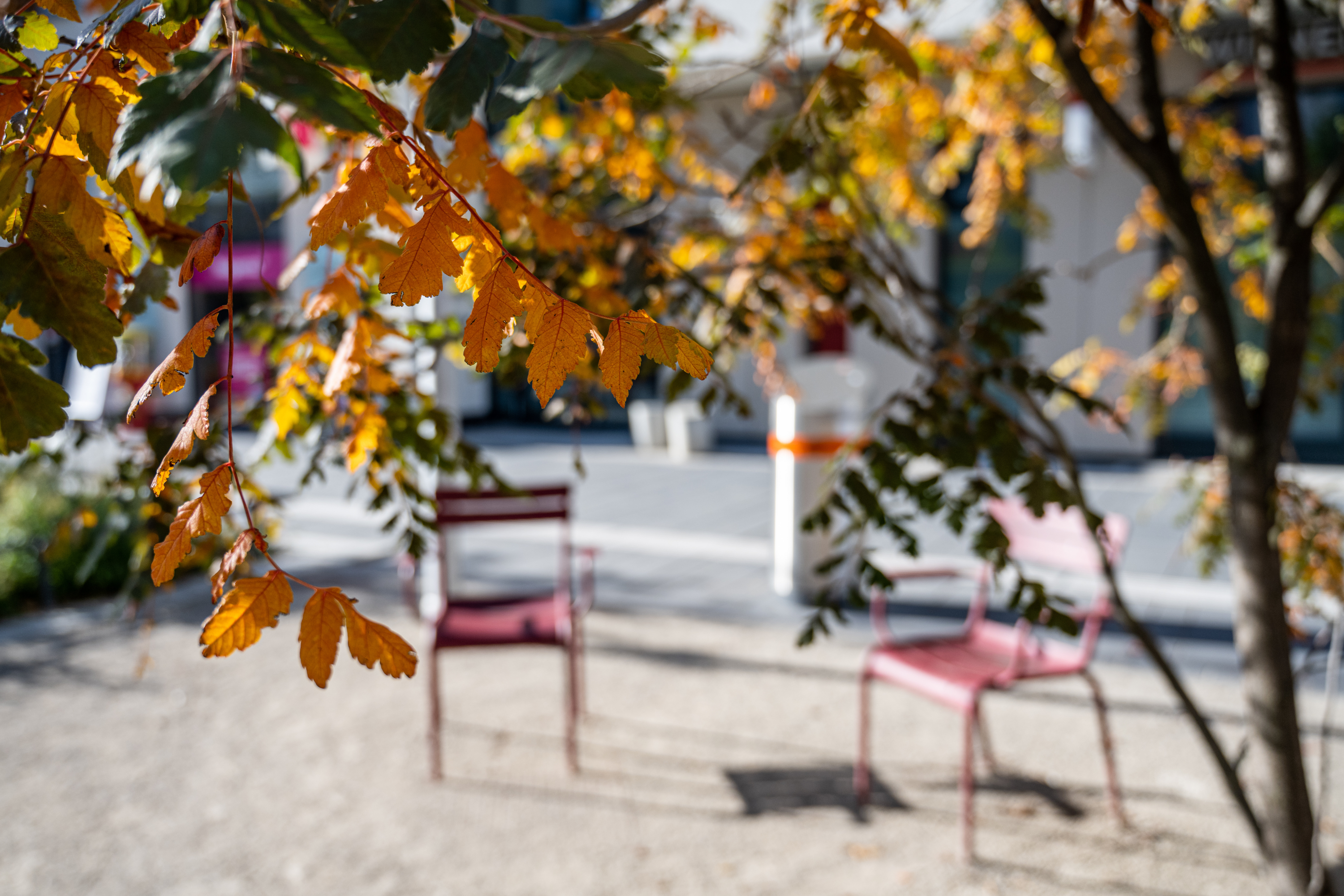 Verraten Sie uns Ihre Lieblingsorte in Aspern