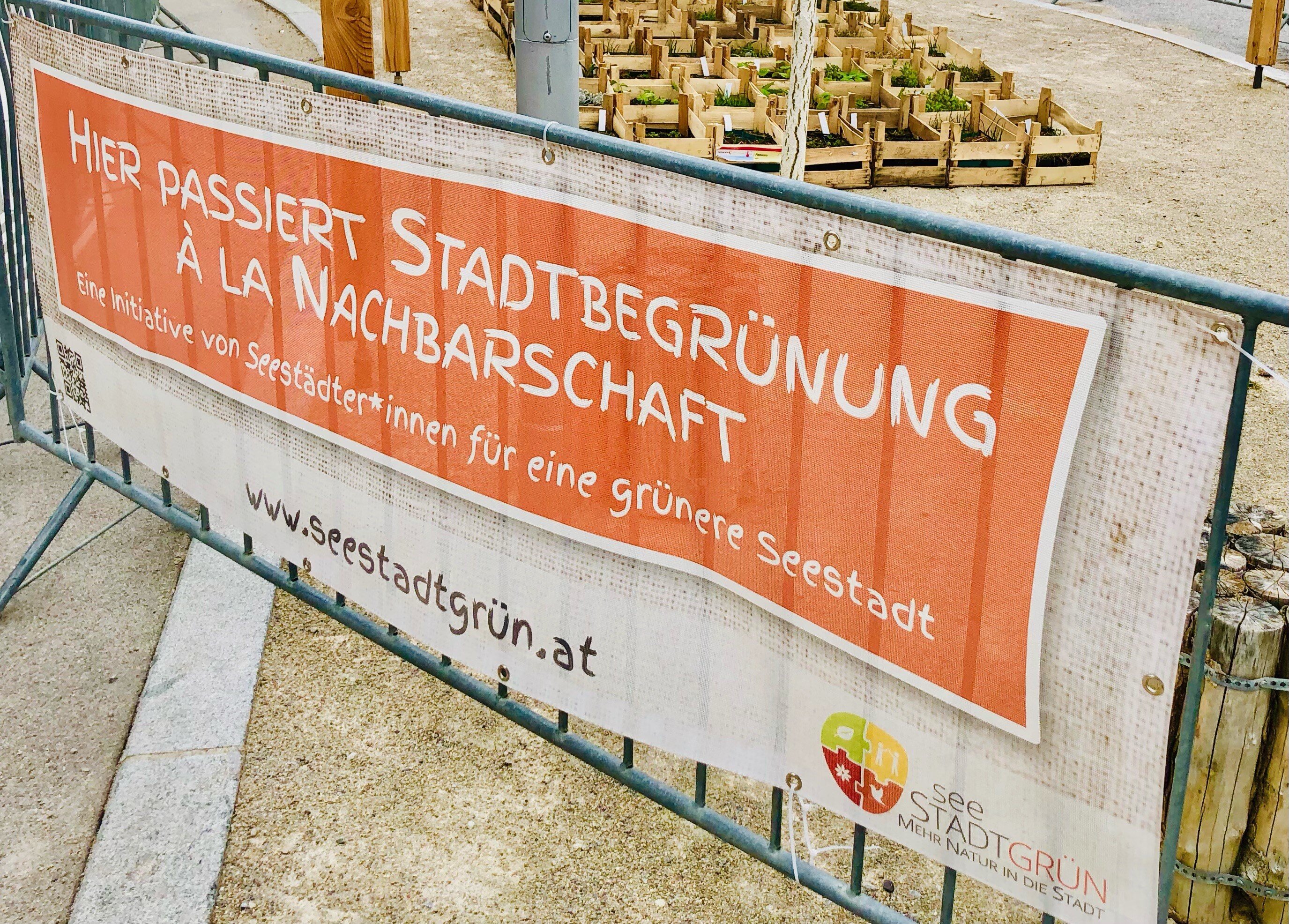 Bepflanzungsaktion: Seestadt Lounge