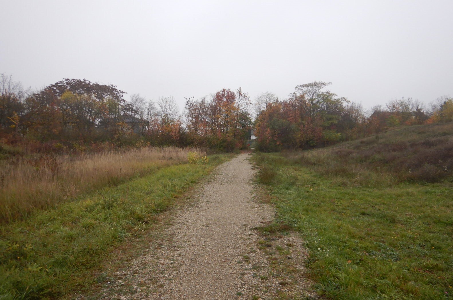 Vorbereitungsarbeiten für die Doris-Lessing-Allee starten