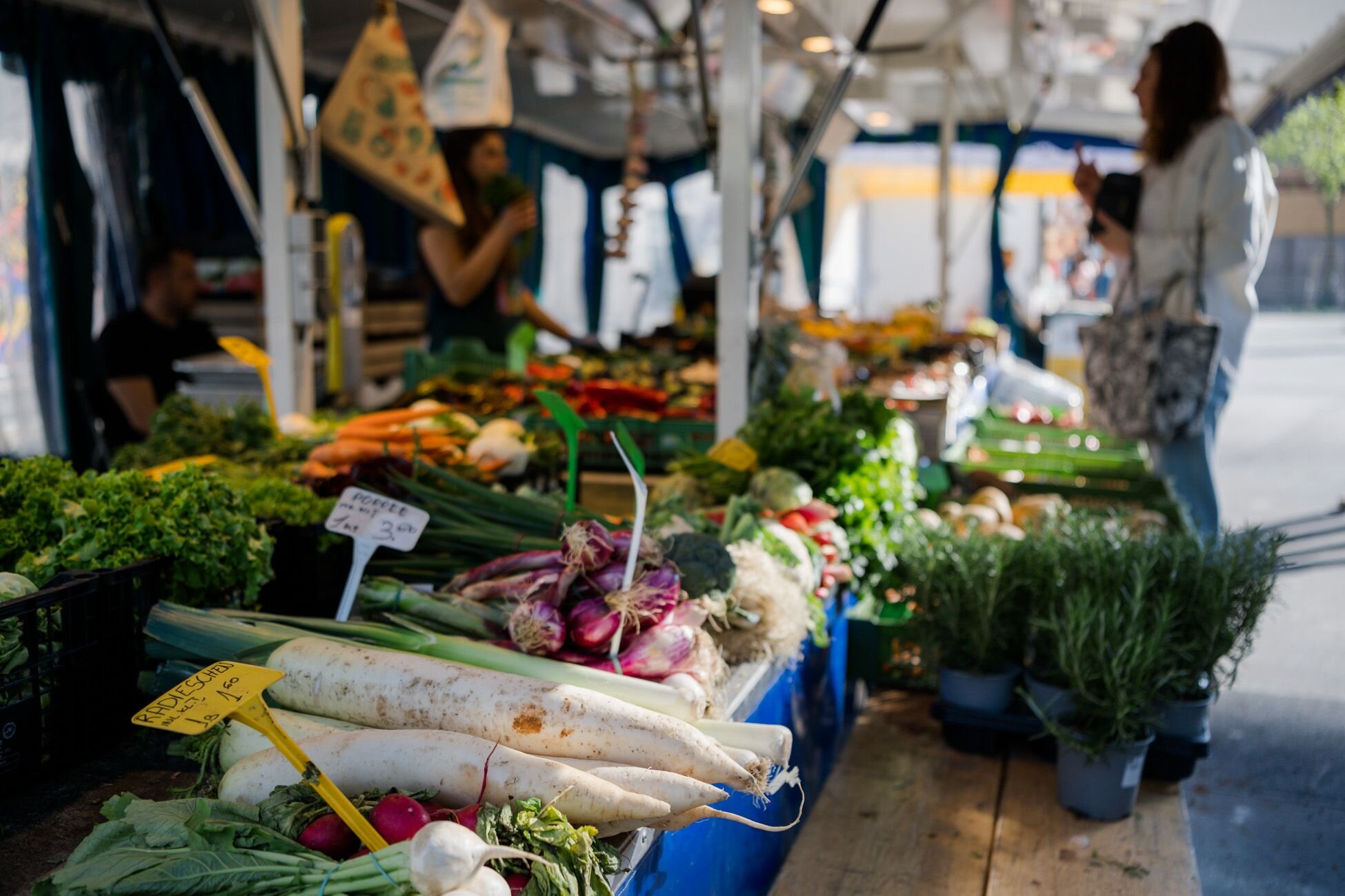 Ein Streifzug durch Aromen und Farben: Entdecken Sie den Mazzucco-Markt