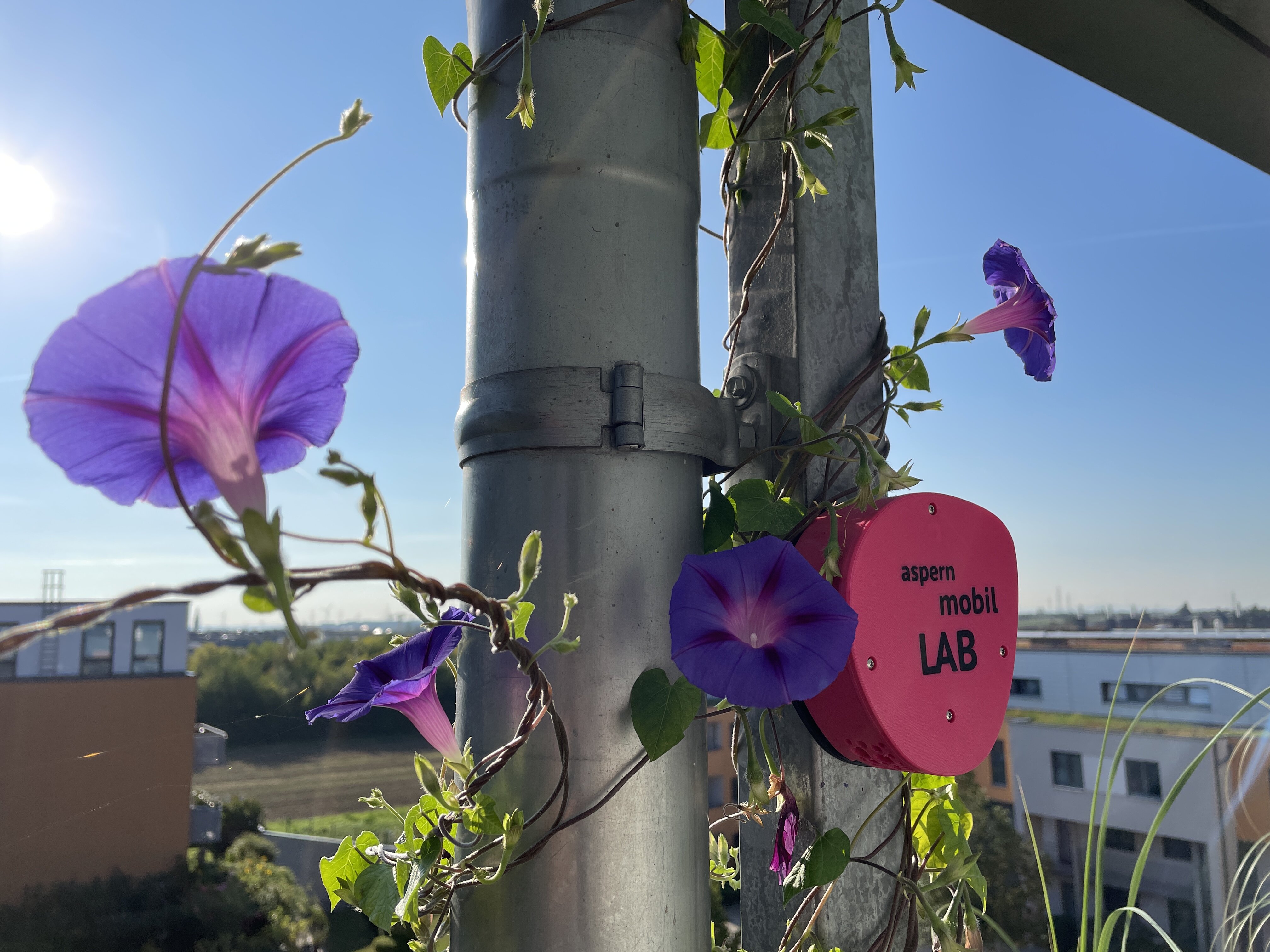 Ein Sensor auf einer Stange