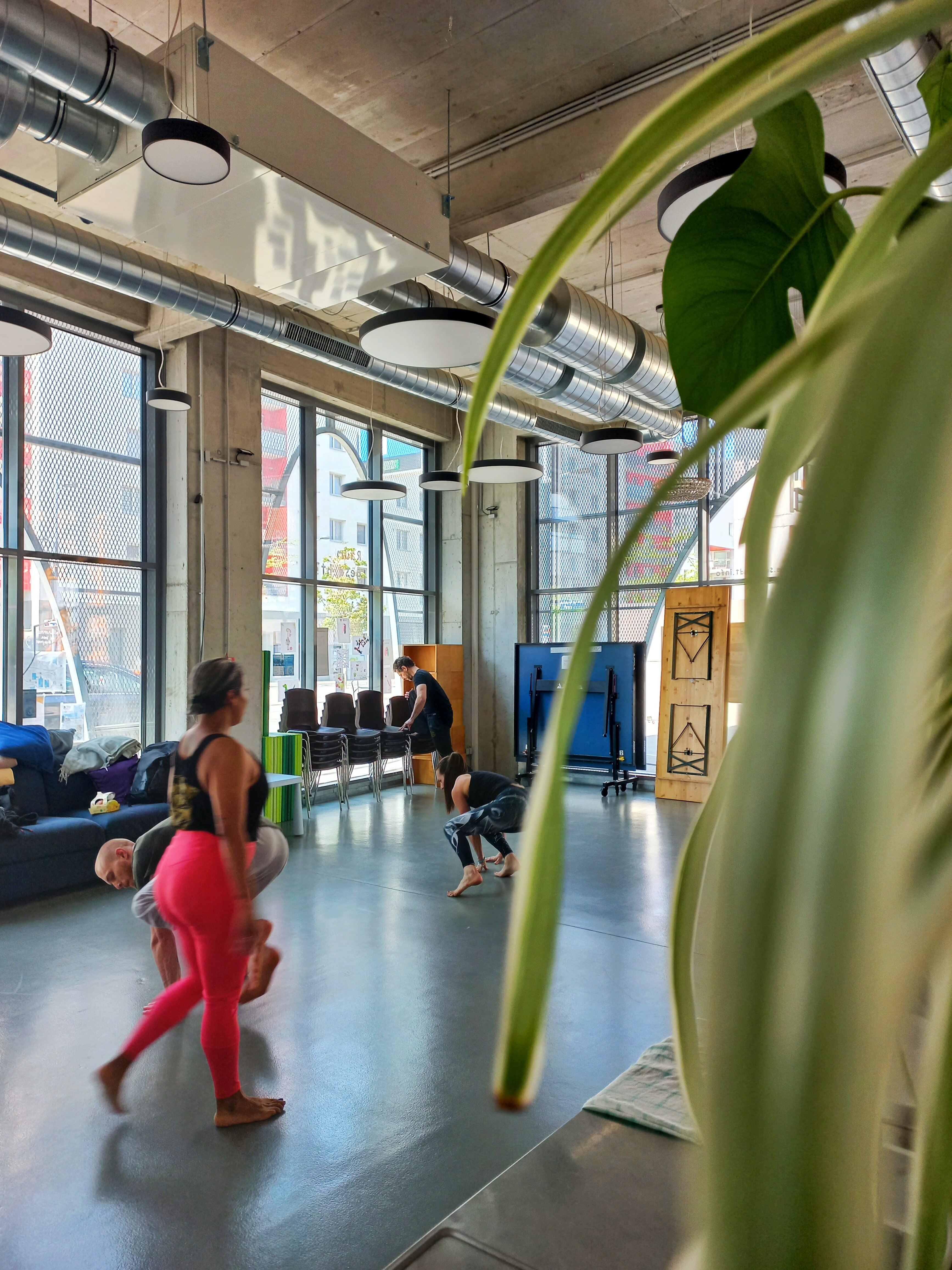 Raum für Nachbarschaft - animal flow