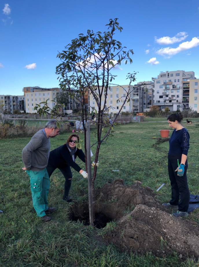 Baumpat*innen und Bäume