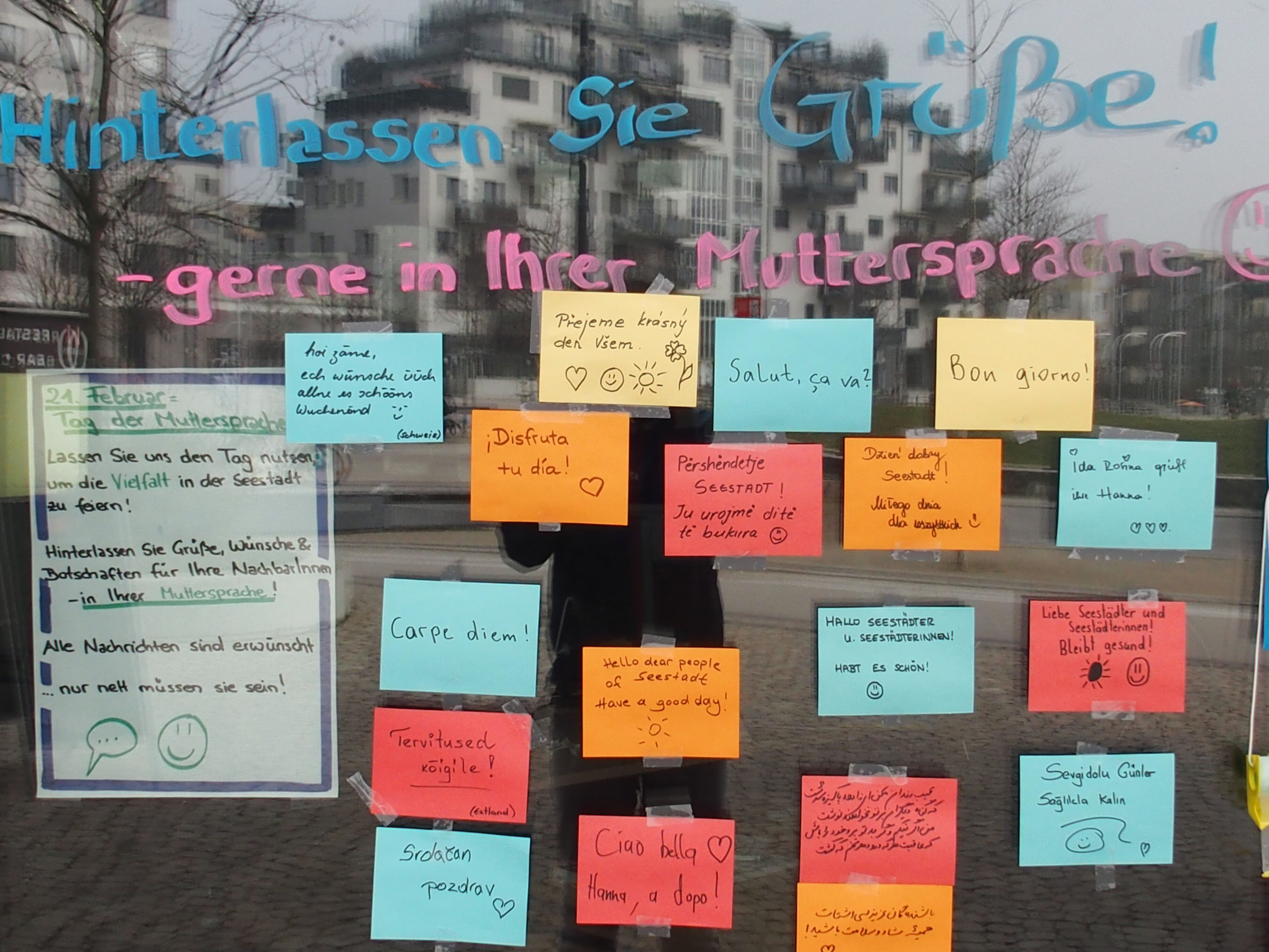 Vielsprachige Seestadt - hier gibt's was zu erleben