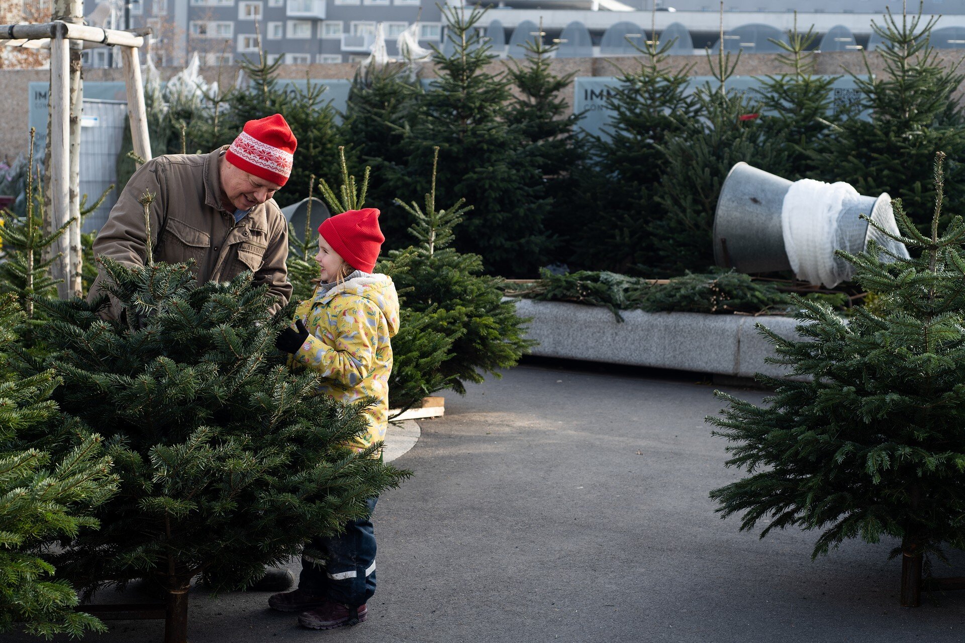 ein Kind steht bei einem Mann. Rundherum sind lauter Weihnachtsbäume
