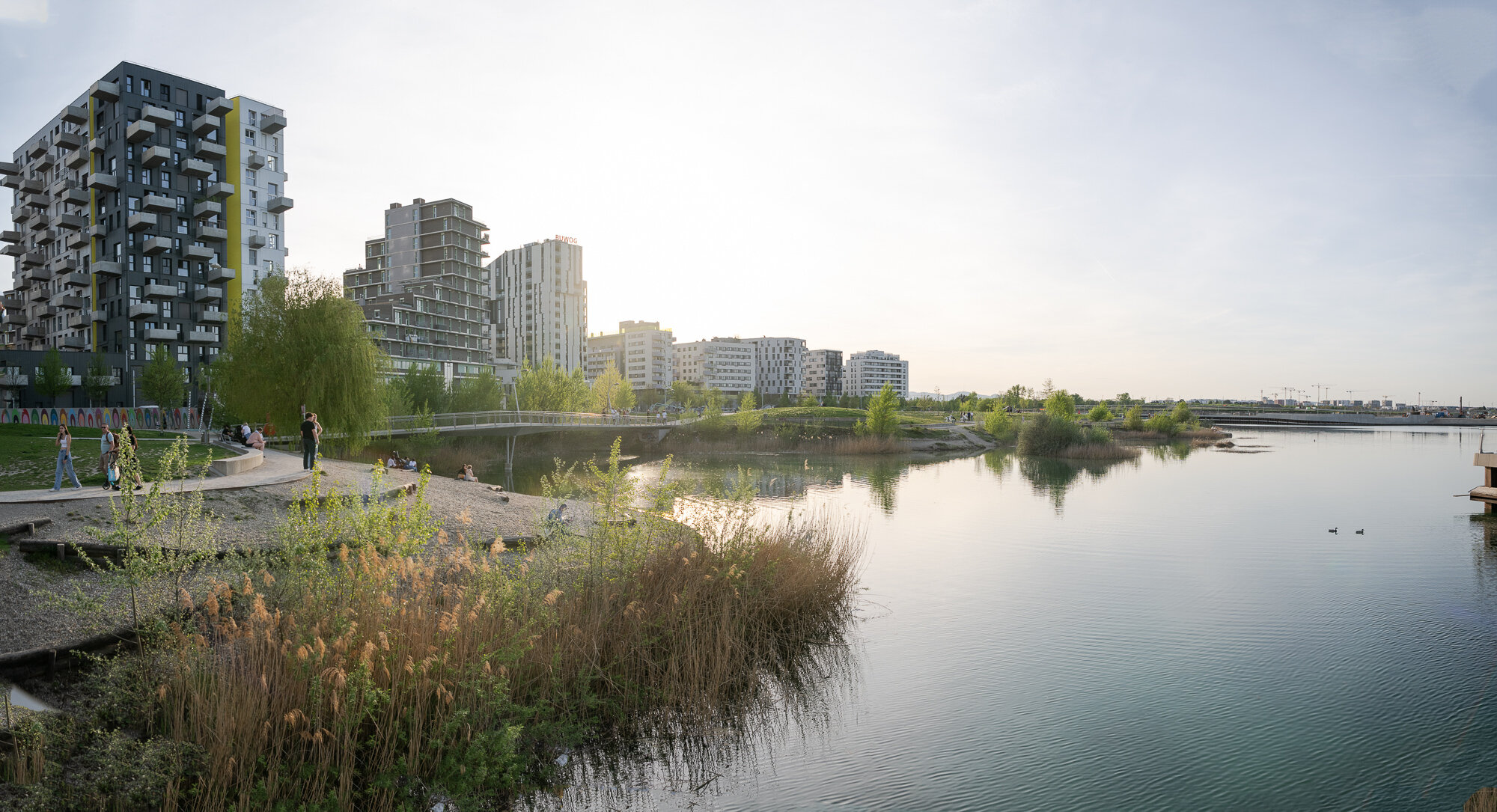 In den Medien: Exploring Seestadt