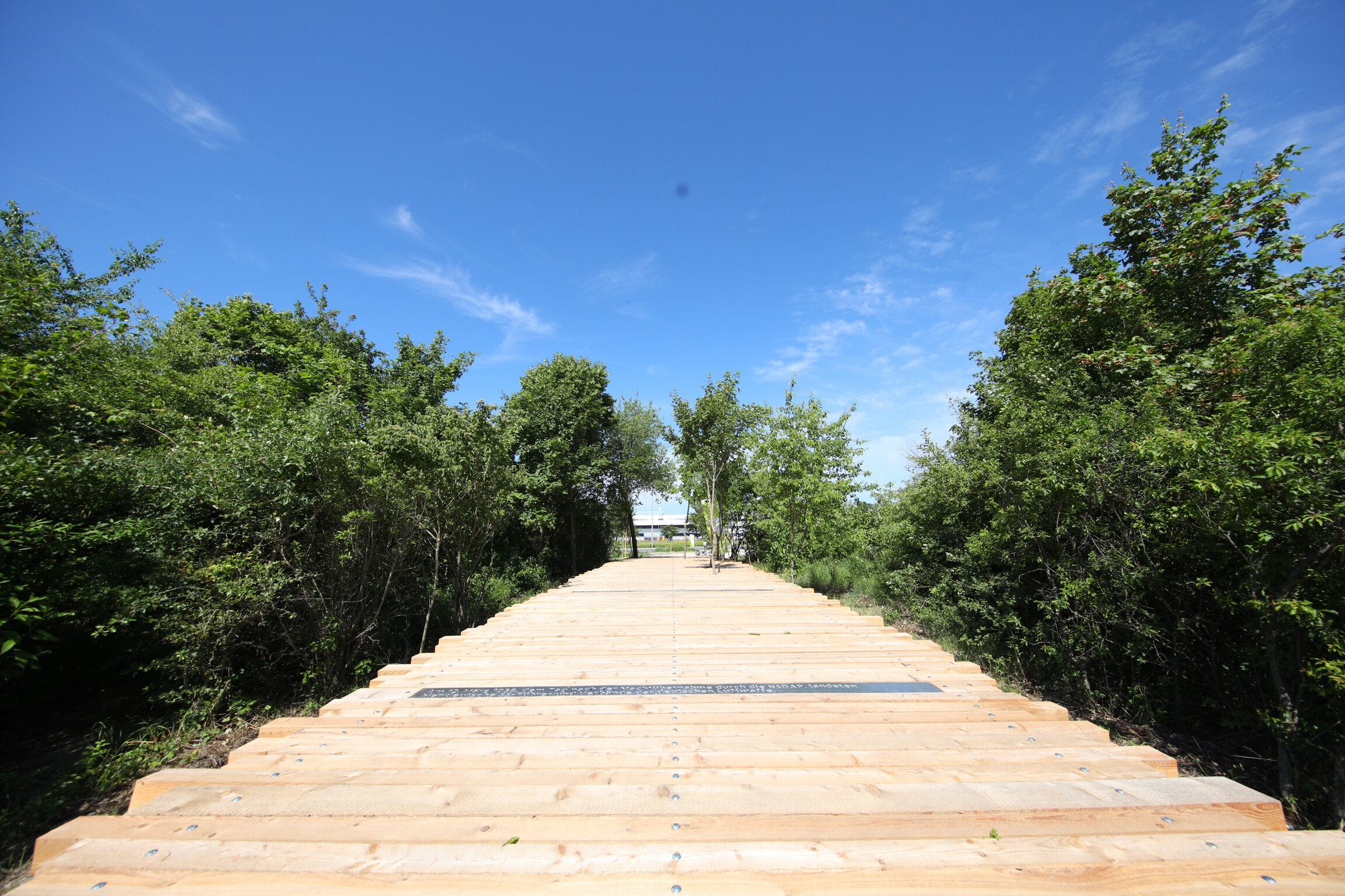 Mahlmal aus Baumstämmen zur Erinnerung an über 65.000 österreichischen Jüdinnen und Juden, die dem Nationalsozialismus zum Opfer fielen