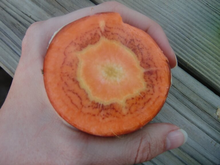 Das war die 2. Gartensprechstunde