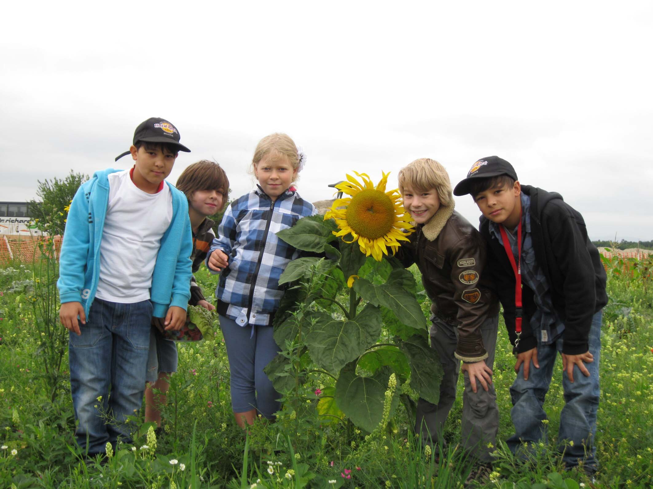 ex.alp: „Wird’s bei uns bald japanische Verhältnisse geben?"