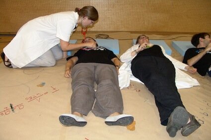 ex.alp: Wie schnell breitet sich ein Grippevirus aus?