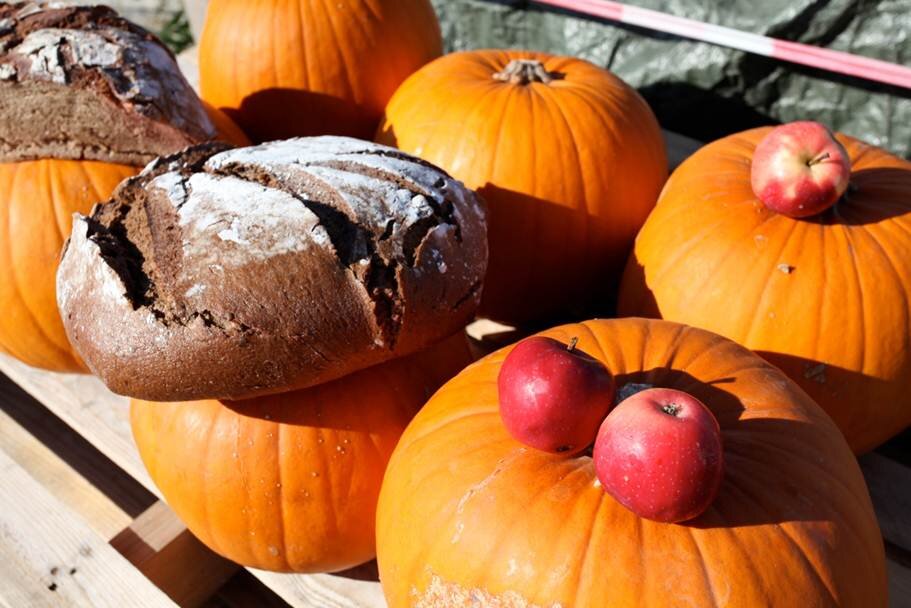 Das war das Gartenfest in aspern Seestadt PUBLIK