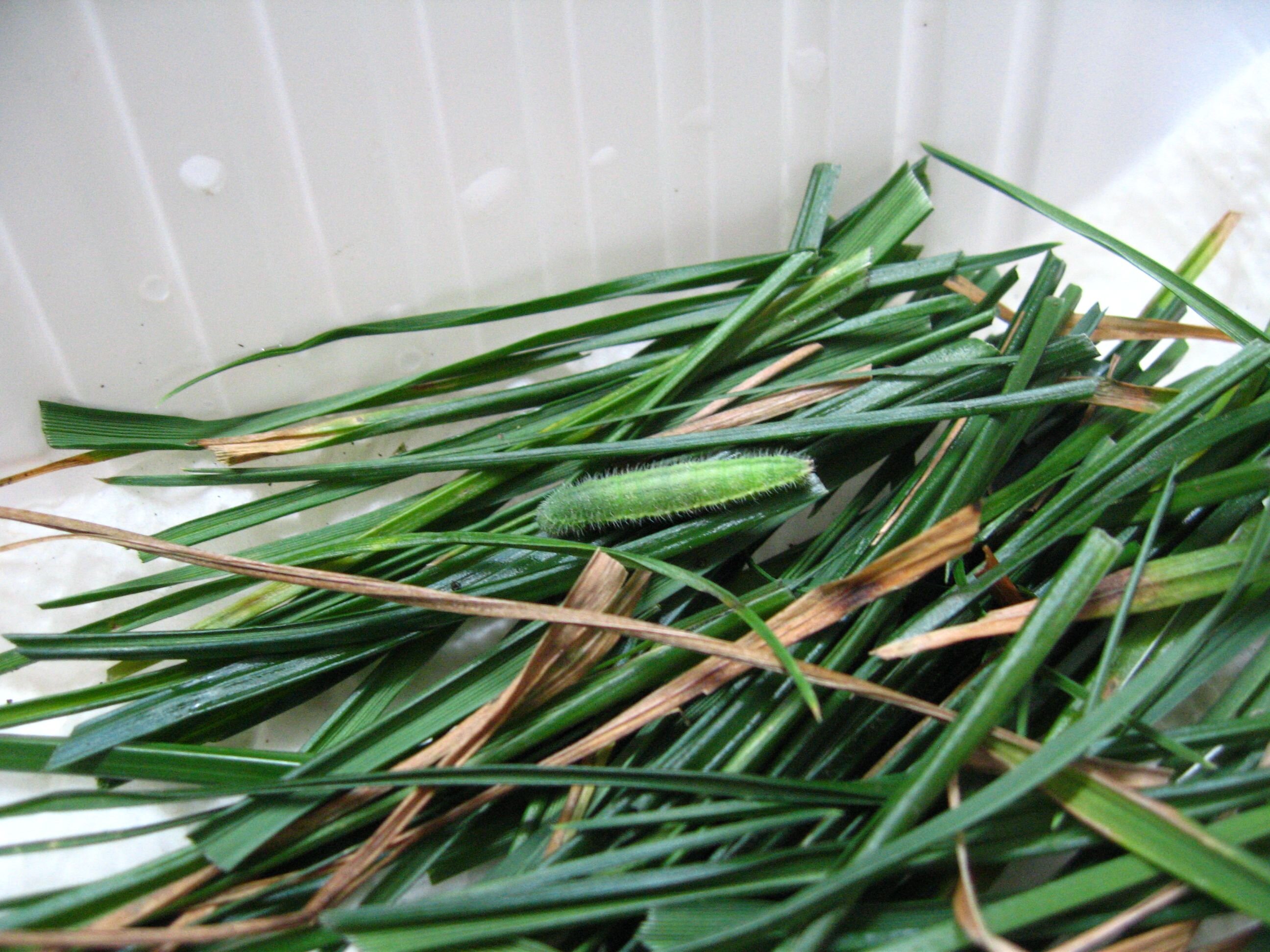 stadt.schreiben: Statt Stadt