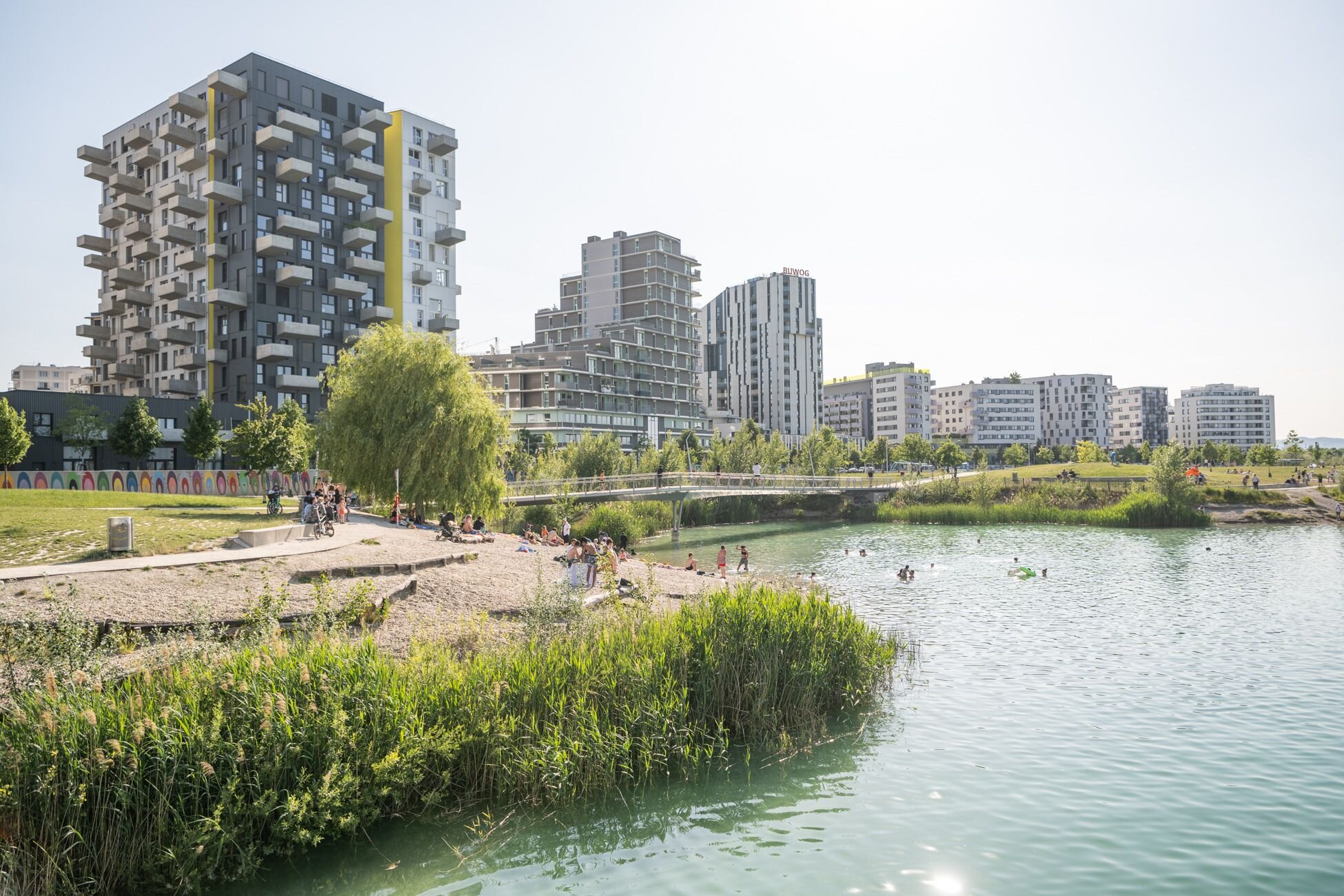 Seestadt See mit Hochhäuser im Hintergrund. 