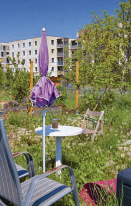 Begrünter Garten in einer Wohnanlage.