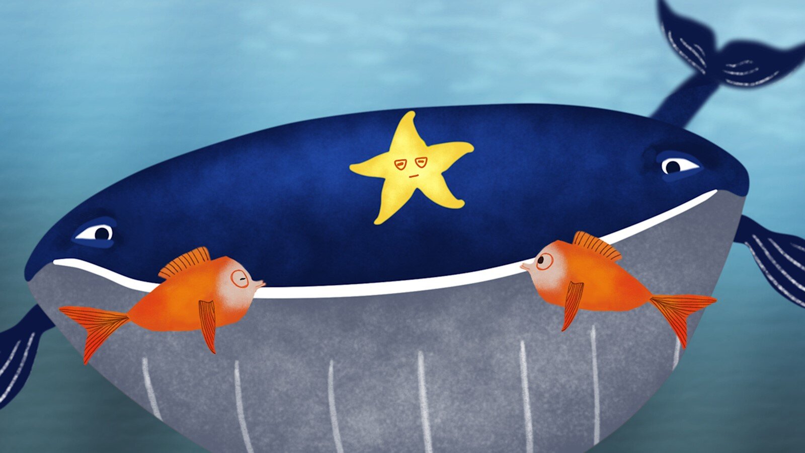 Gezeichnete Meeresbewohner: Wal, Seestern, Fisch