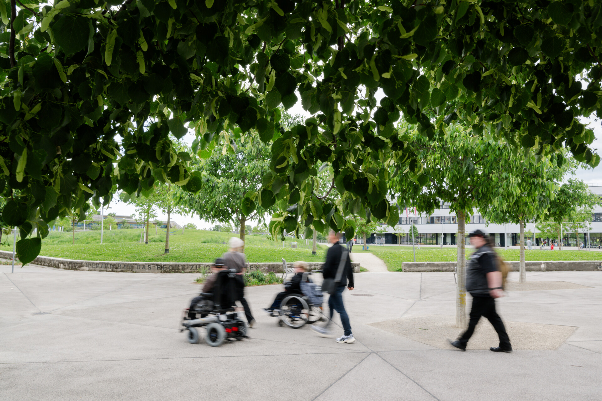 Blick auf einen begrünten Platz durch die Blätter eines Baumes, es rollen zwei Menschen in Rollstuh vorbei, drei weitere Personen gehen mit