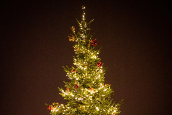 Ein beleuchteter Weihnachtsbaum bei Nacht